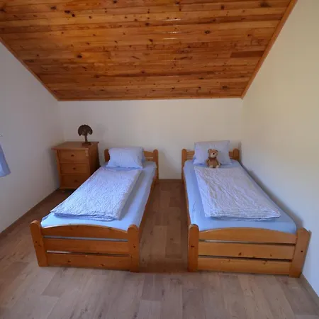 Lion Guest house