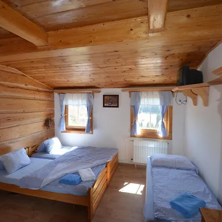 Lion Guest house