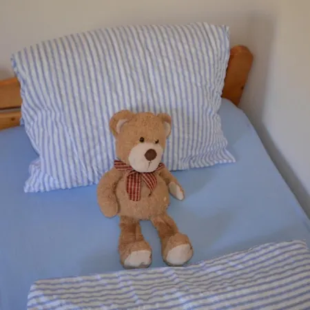 Guest house Lion Pec pod Snezkou