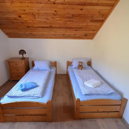 Lion Guest house 3*