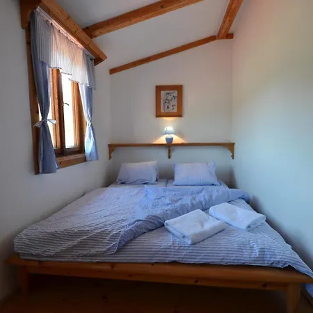 Guest house Lion